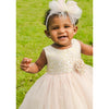 Infant Tulle and Brocade Dress