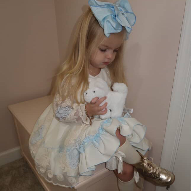 Samantha Sheer Sleeve Dress