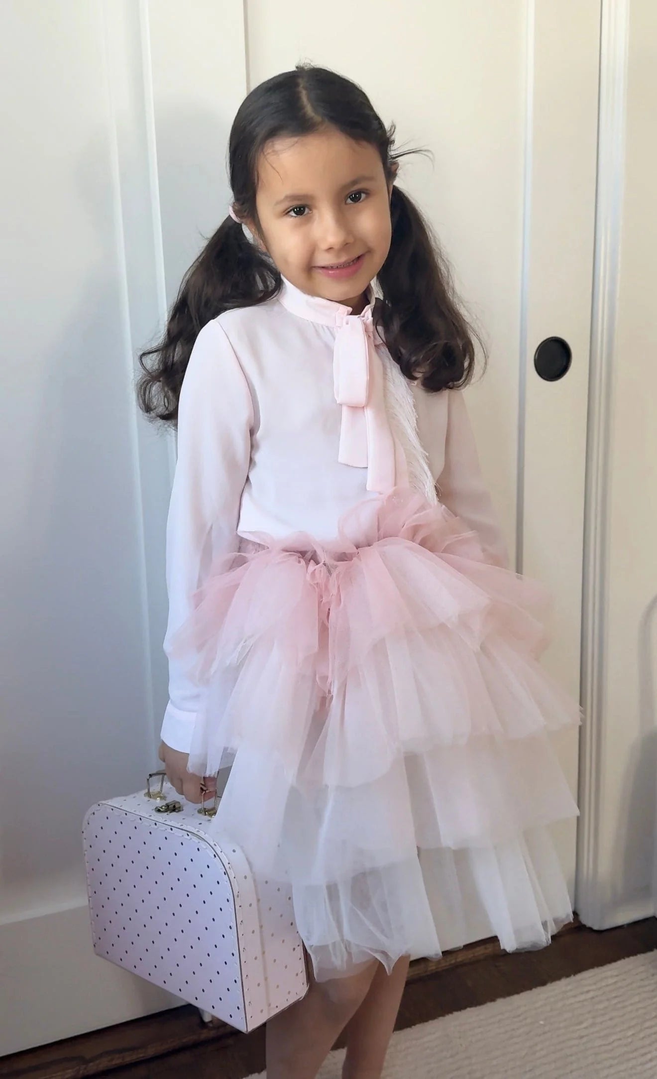 Pink Ombre Tutu Skirt