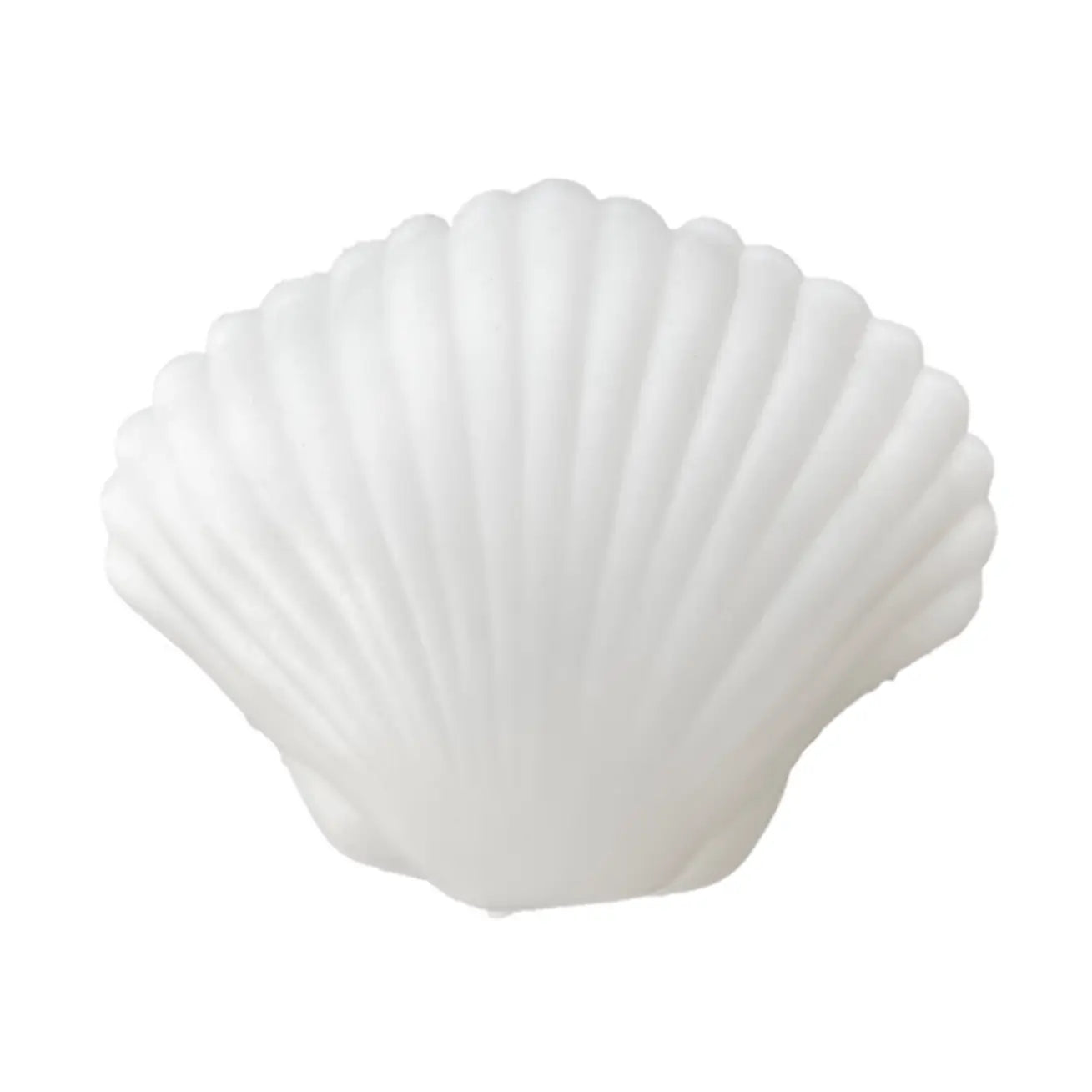 Clam Shell Squishy