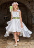 Taffeta Dress and Sage Sash