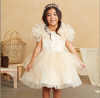 Girl's Sparkle Tulle Dress