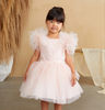 Girl's Sparkle Tulle Dress