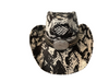 Snakeskin Cowgirl Hat