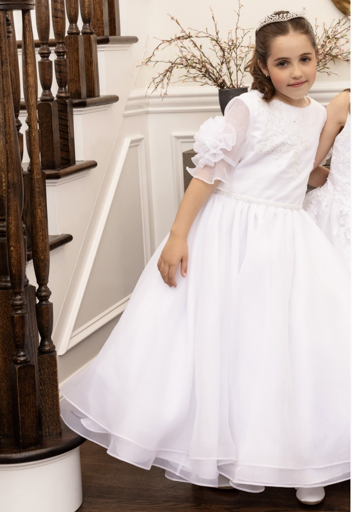 Sheer Elbow Sleeve Organza Dress