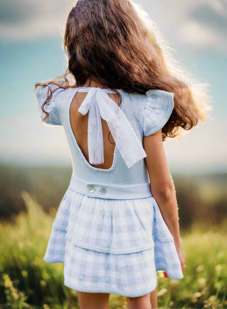 Blue and White Drop Waist Dress