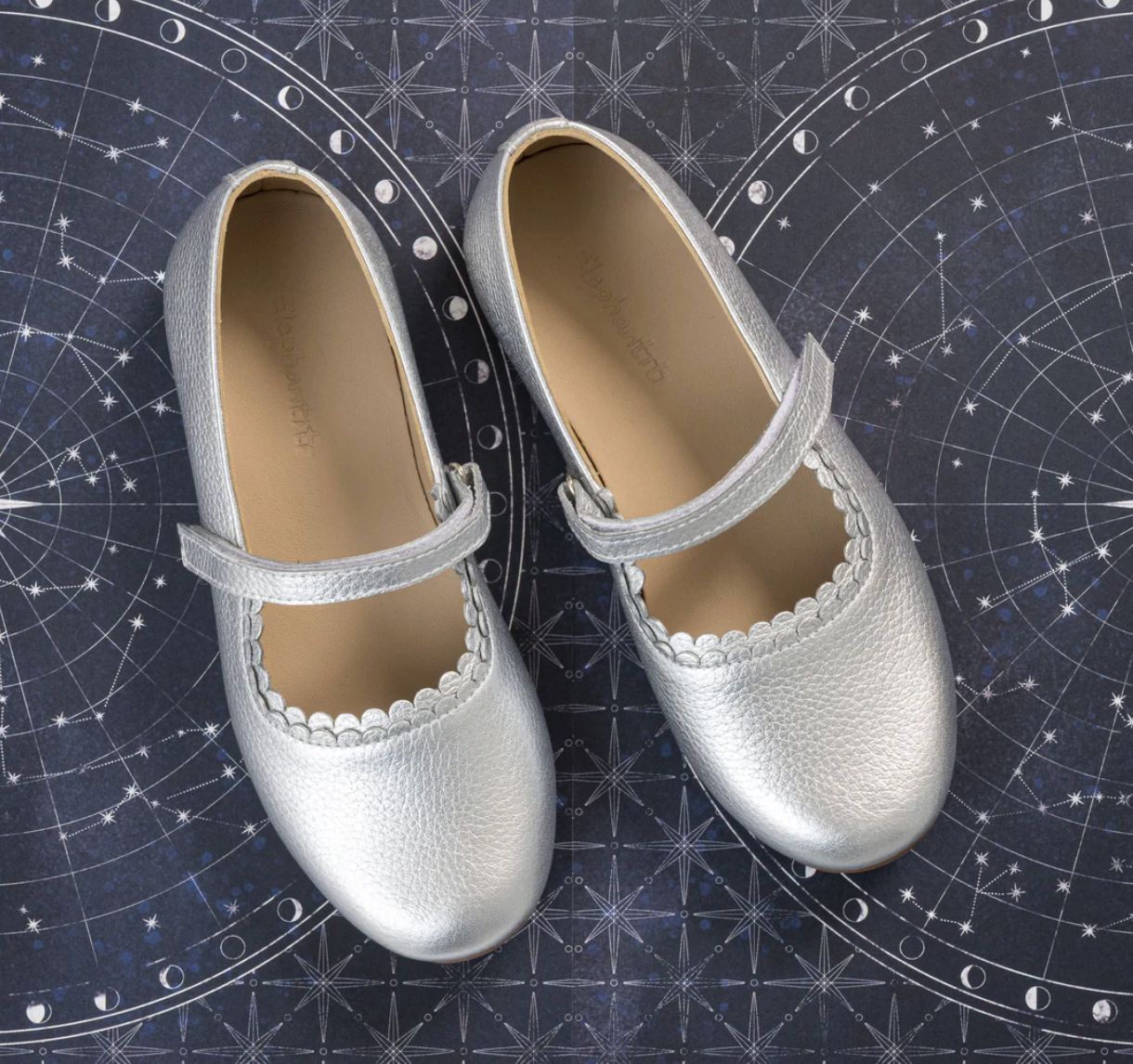 Silver Leather Aria Flats