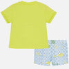 Alligator swimsuit for boy