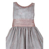 Rose Silver Mesh Dress