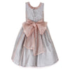 Rose Silver Mesh Dress