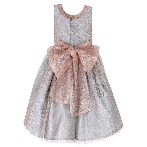 Rose Silver Mesh Dress