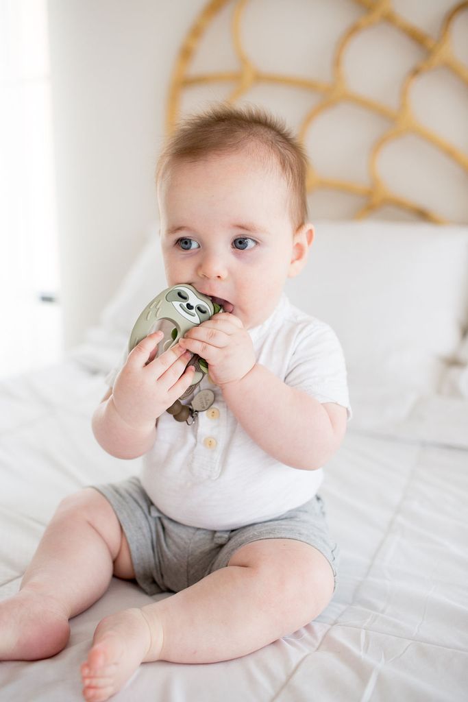 Sloth Teether Set