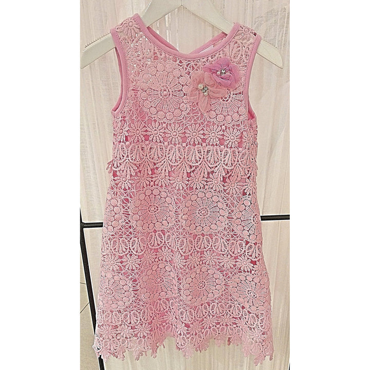 Cach Cach Pretty in Pink Crochet Dress