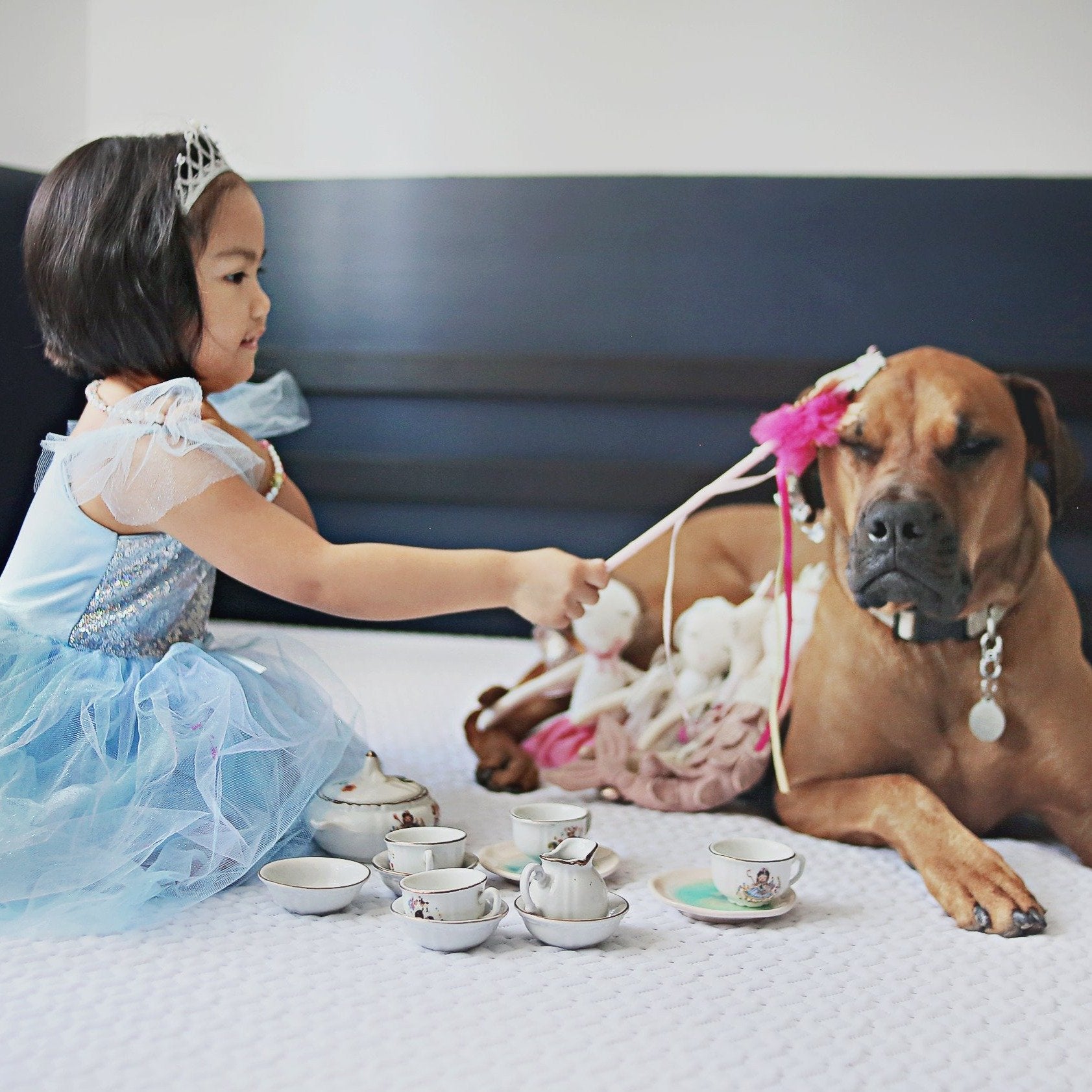 Blue Princess Dress Up