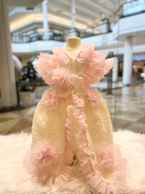 Cotton Pink Romper Gown