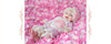 Haute Baby Pink Lullabye Set