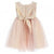 Infant Tulle and Brocade Dress