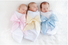 Swaddle Bow in Palmetto Pearl