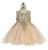 Infant Pageant Dress with Gold Lace