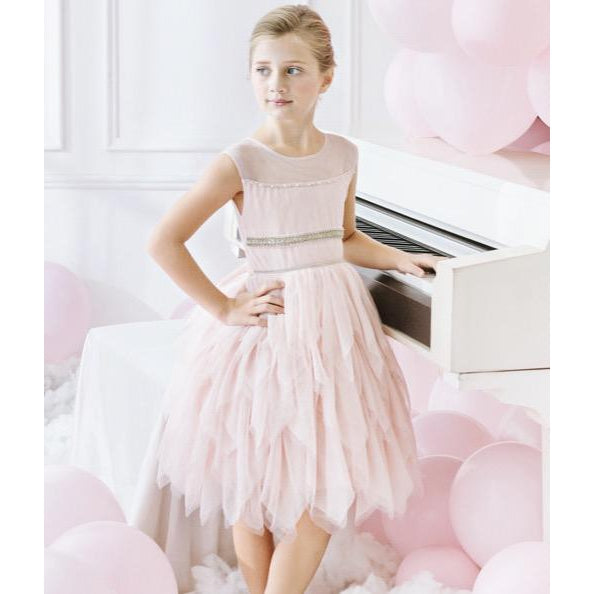 Luna Celine Dress In Rose flower girl beaded pink