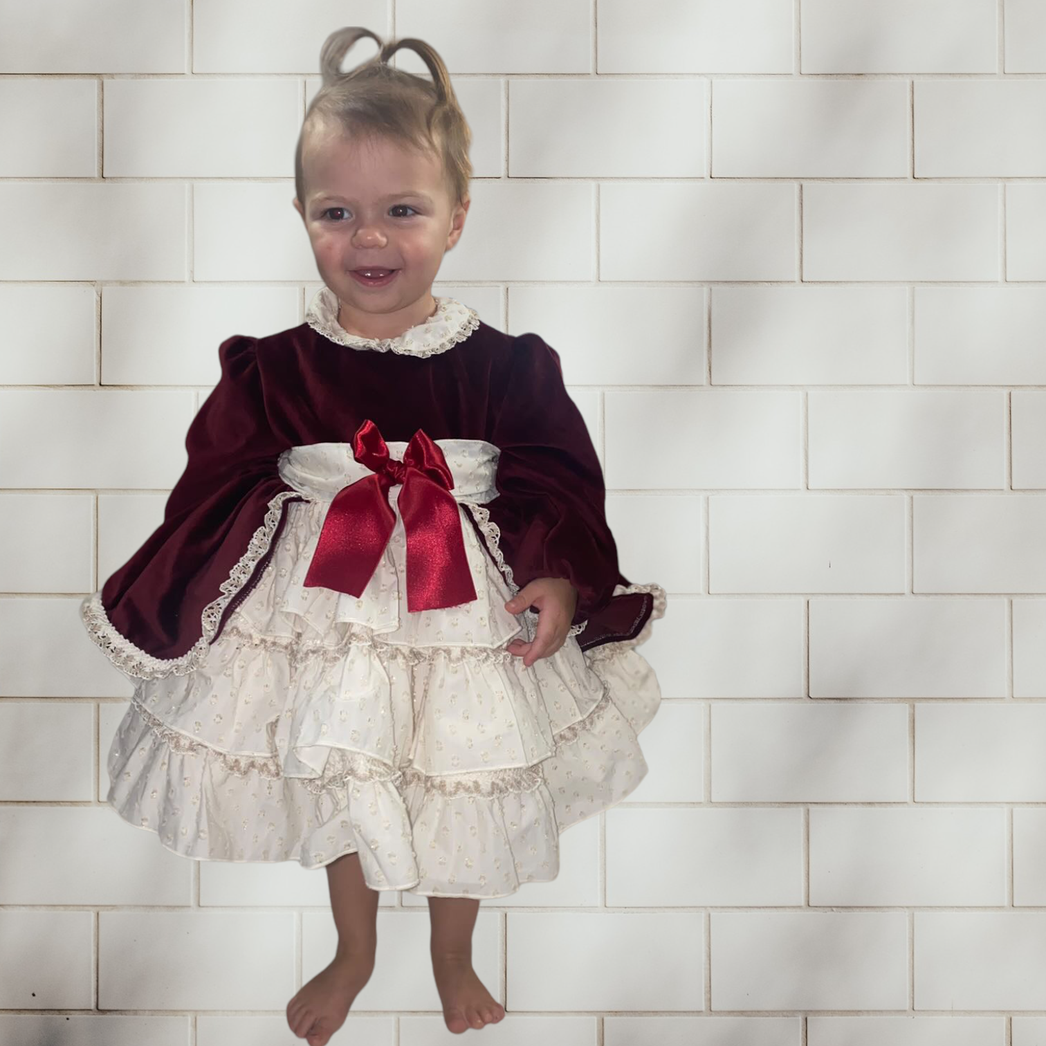 Sonata Burgundy Velvet Dress