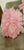 Heirloom Pink Ruffle Gown