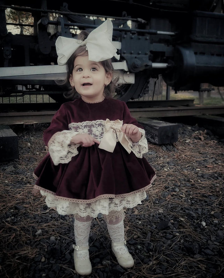 Burgundy Velvet Dress