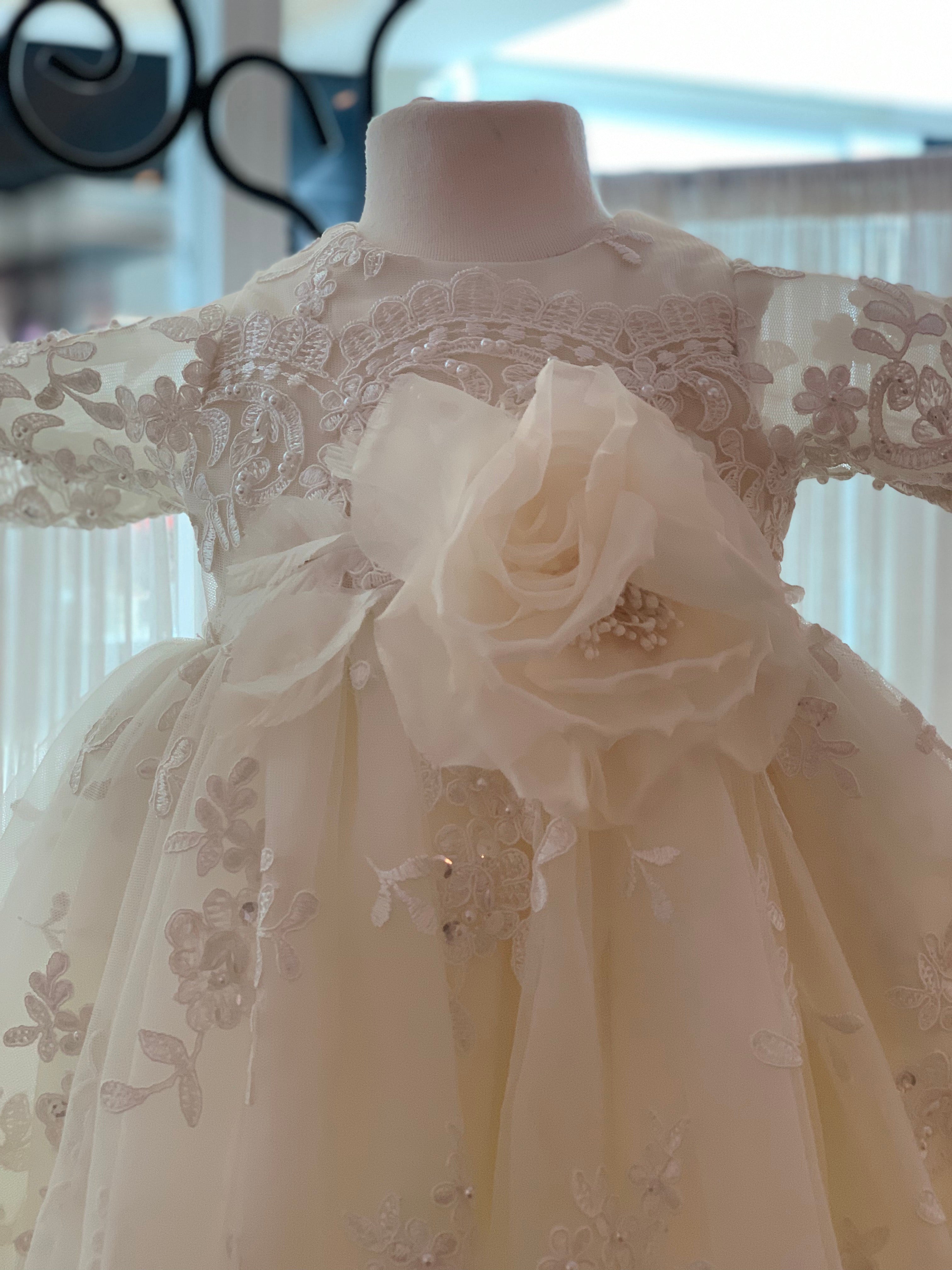 Custom Couture Ivory Gown